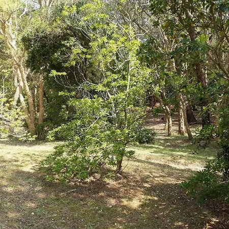 Appartement Appt Le Penon - Plages Commerces A Pied *