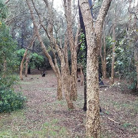 דירה Appt Le Penon - Plages Commerces A Pied