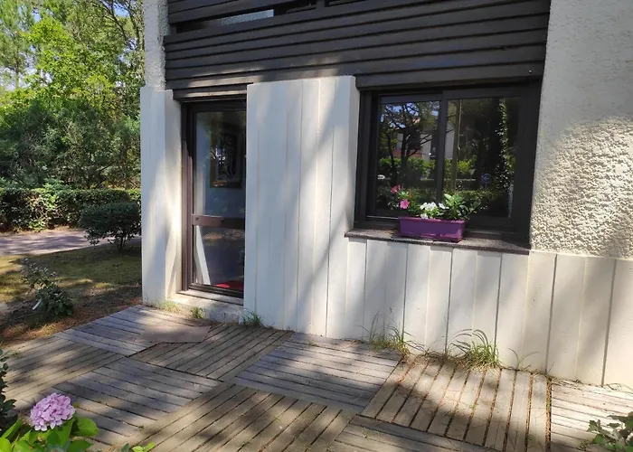 Appt Le Penon - Plages Commerces A Pied سانيوس