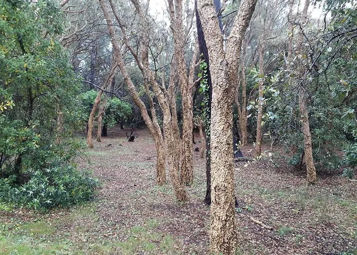 Apartamento Appt Le Penon - Plages Commerces A Pied