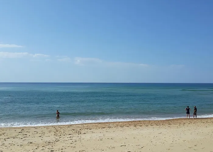 Appt Le Penon - Plages Commerces A Pied Seignosse